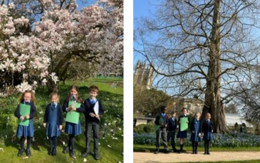 Windrush Valley Private School Oxfordshire – News Bulletin